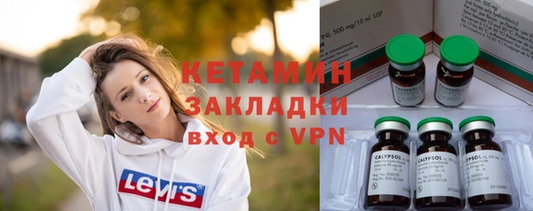 хмурый Аркадак