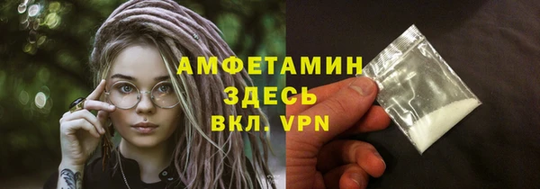 хмурый Аркадак