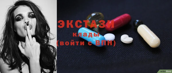хмурый Аркадак