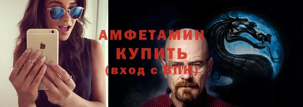 хмурый Аркадак