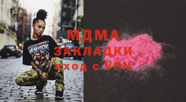 хмурый Аркадак