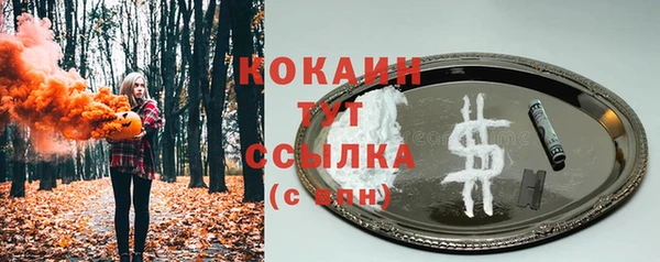 хмурый Аркадак