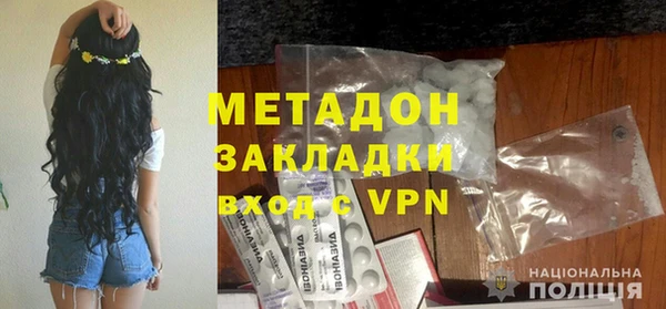 хмурый Аркадак