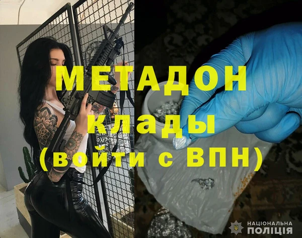 хмурый Аркадак